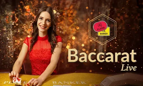 Bingoplus PC Sports Betting