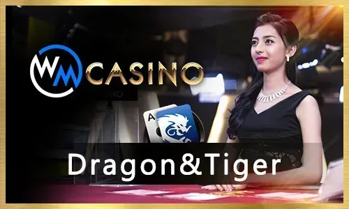 Bingoplus PC Poker and Lottery